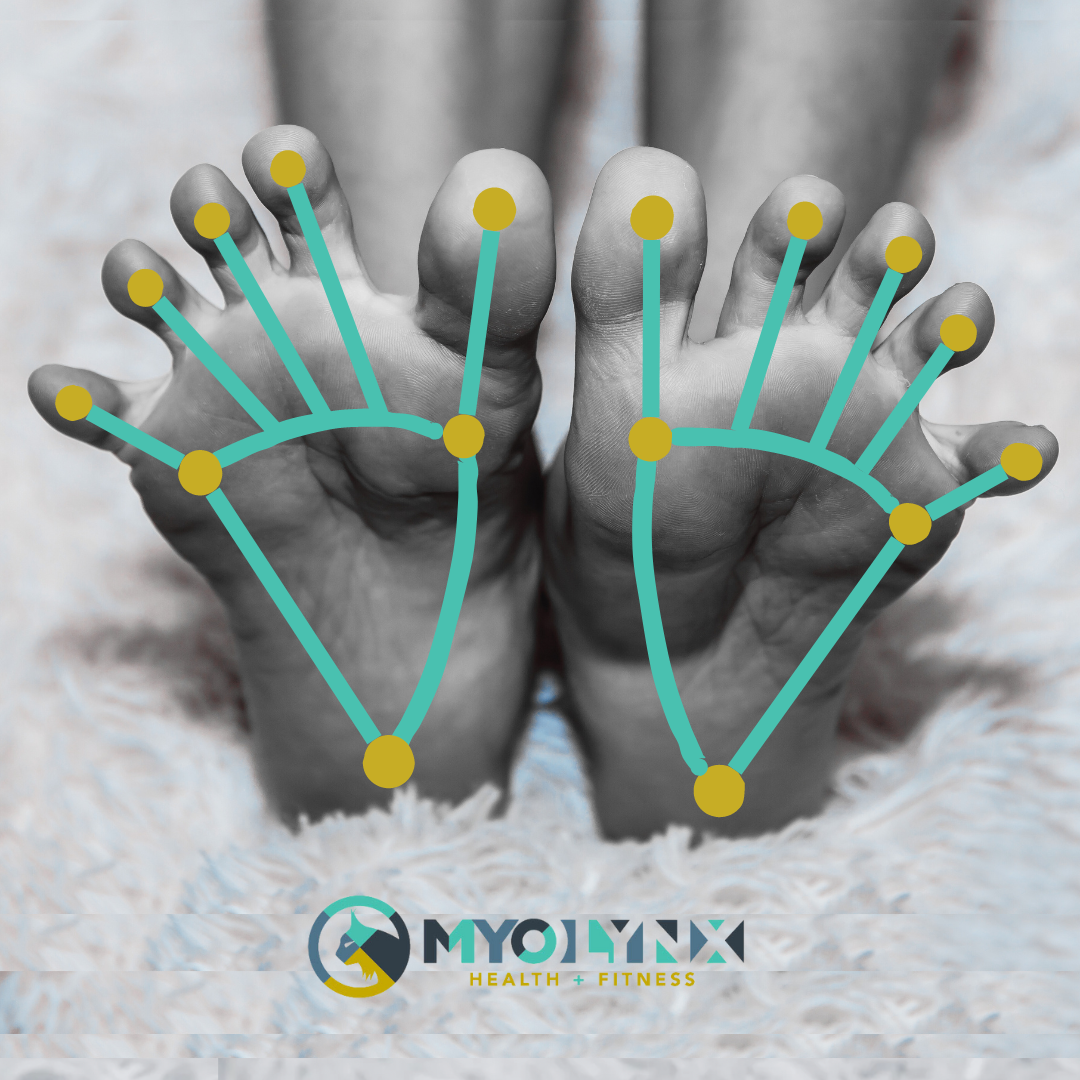 Man showing feet with Myolynx animation